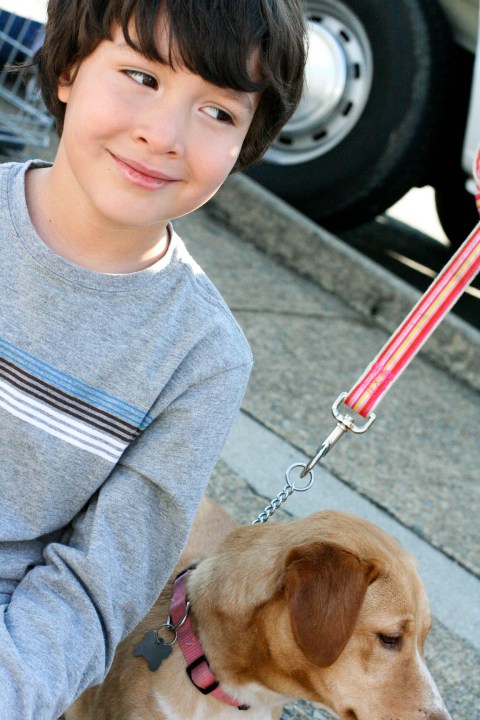 pippa-wait-dog-shopping